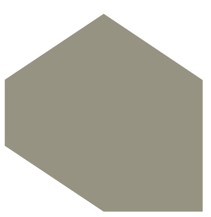 SkiljanAmer