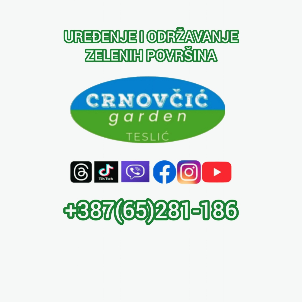crnovcicv