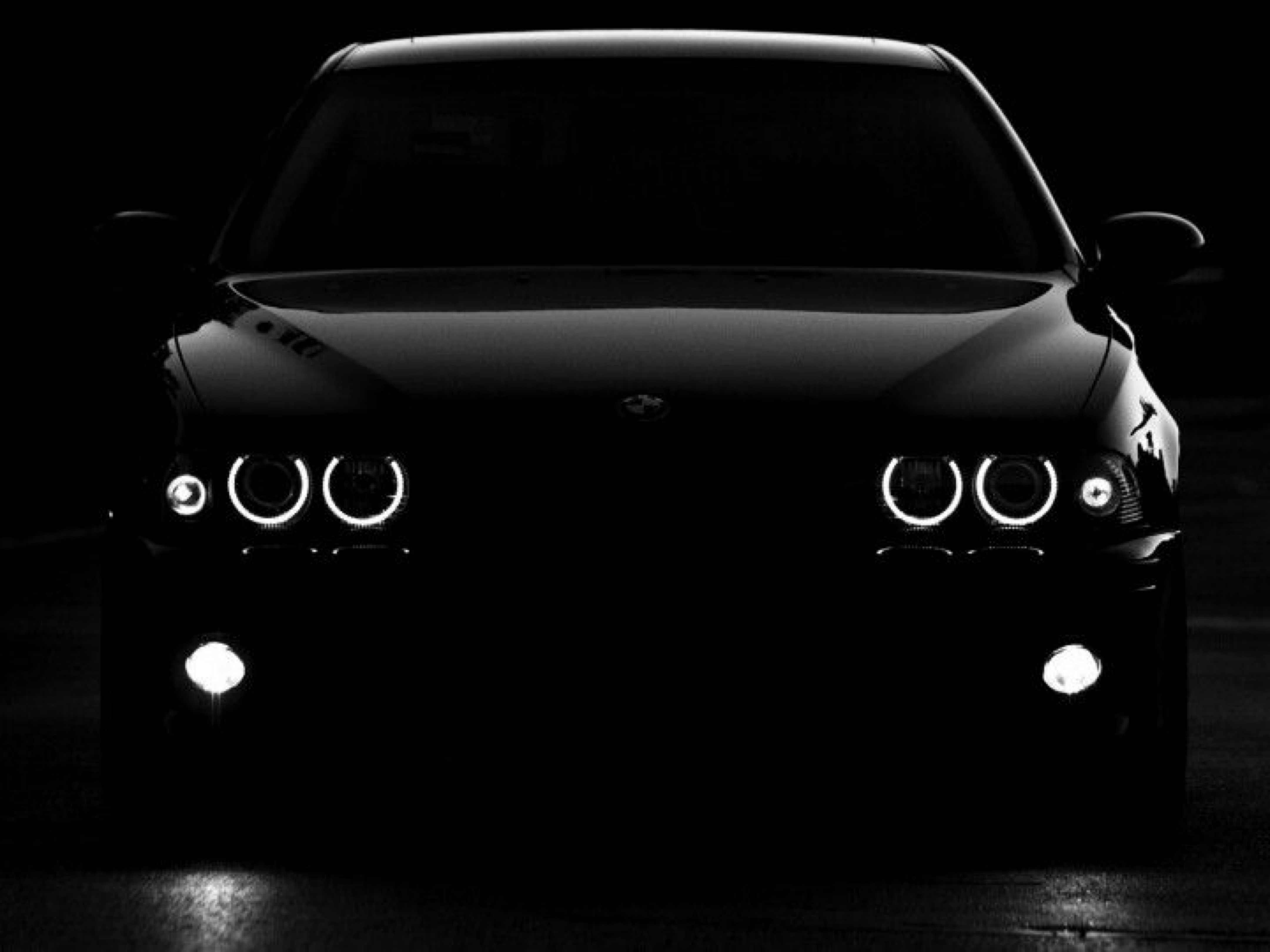 stole__bmw