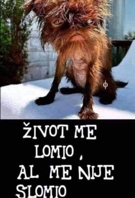 mirnelovski