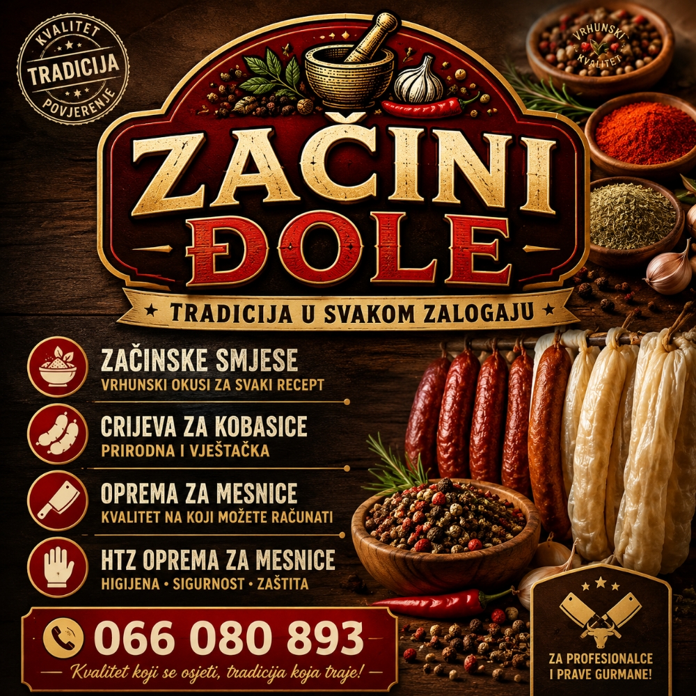 Djole_13