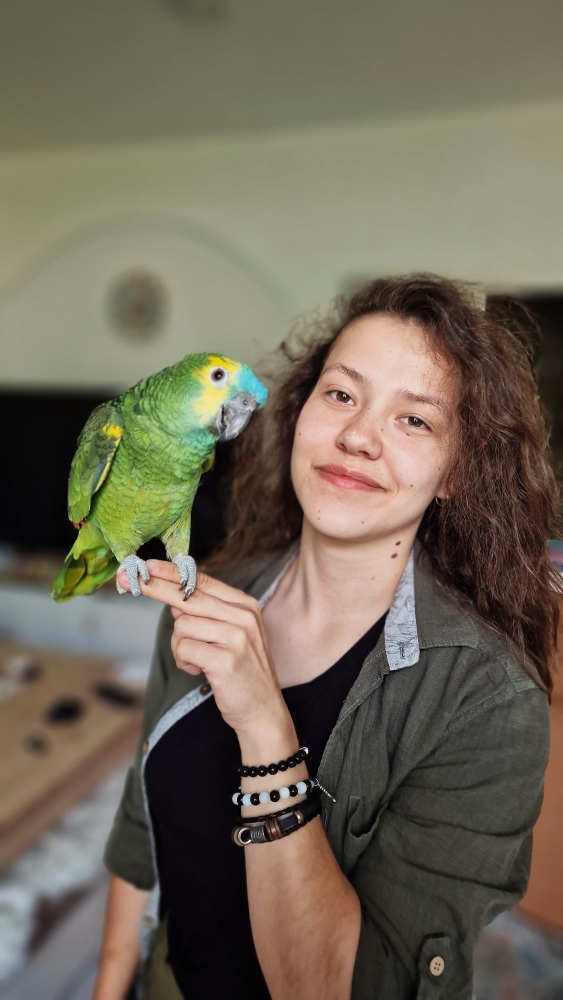 Panasonic lumix GH5 - Digitalni - OLX.ba