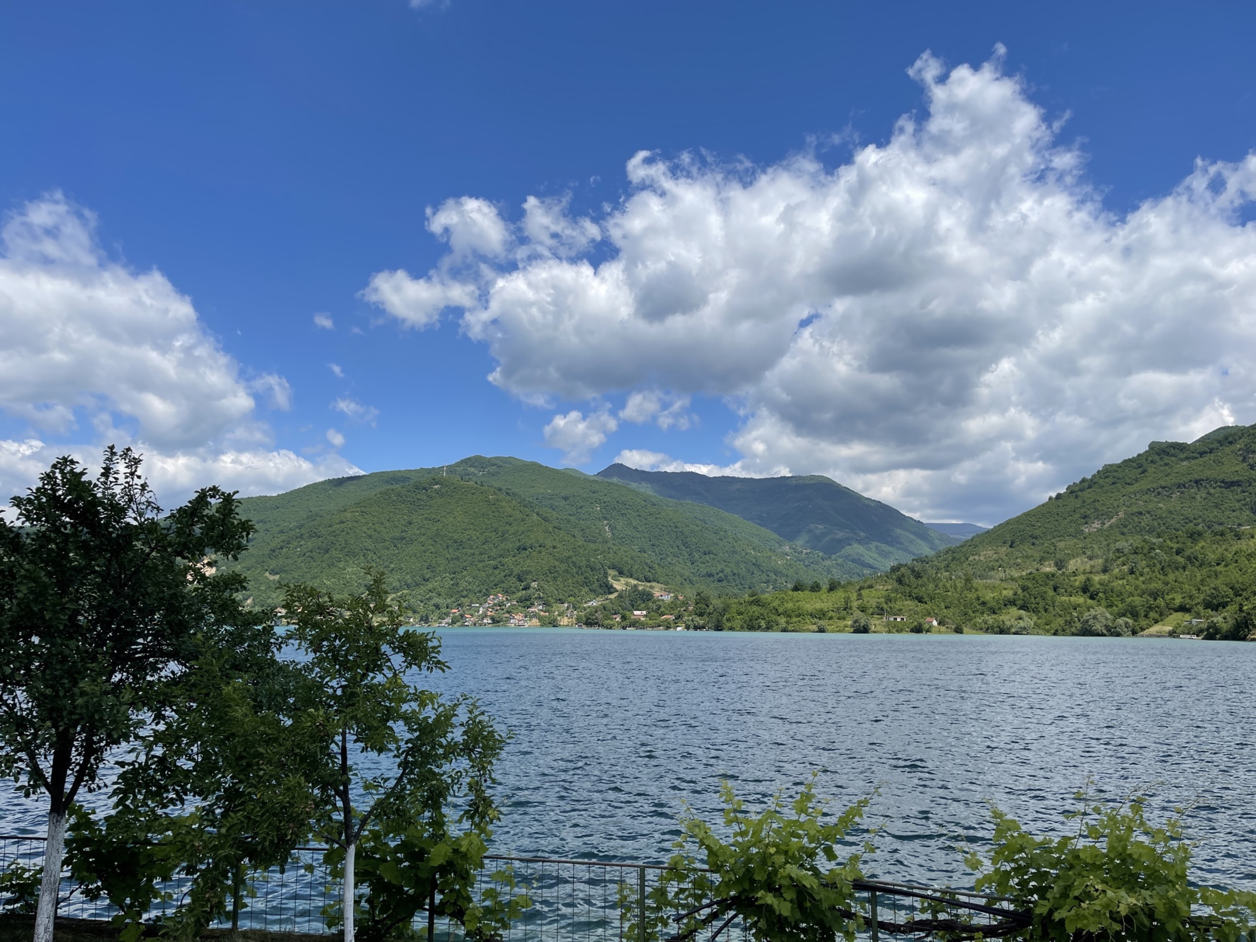 MontanaNek