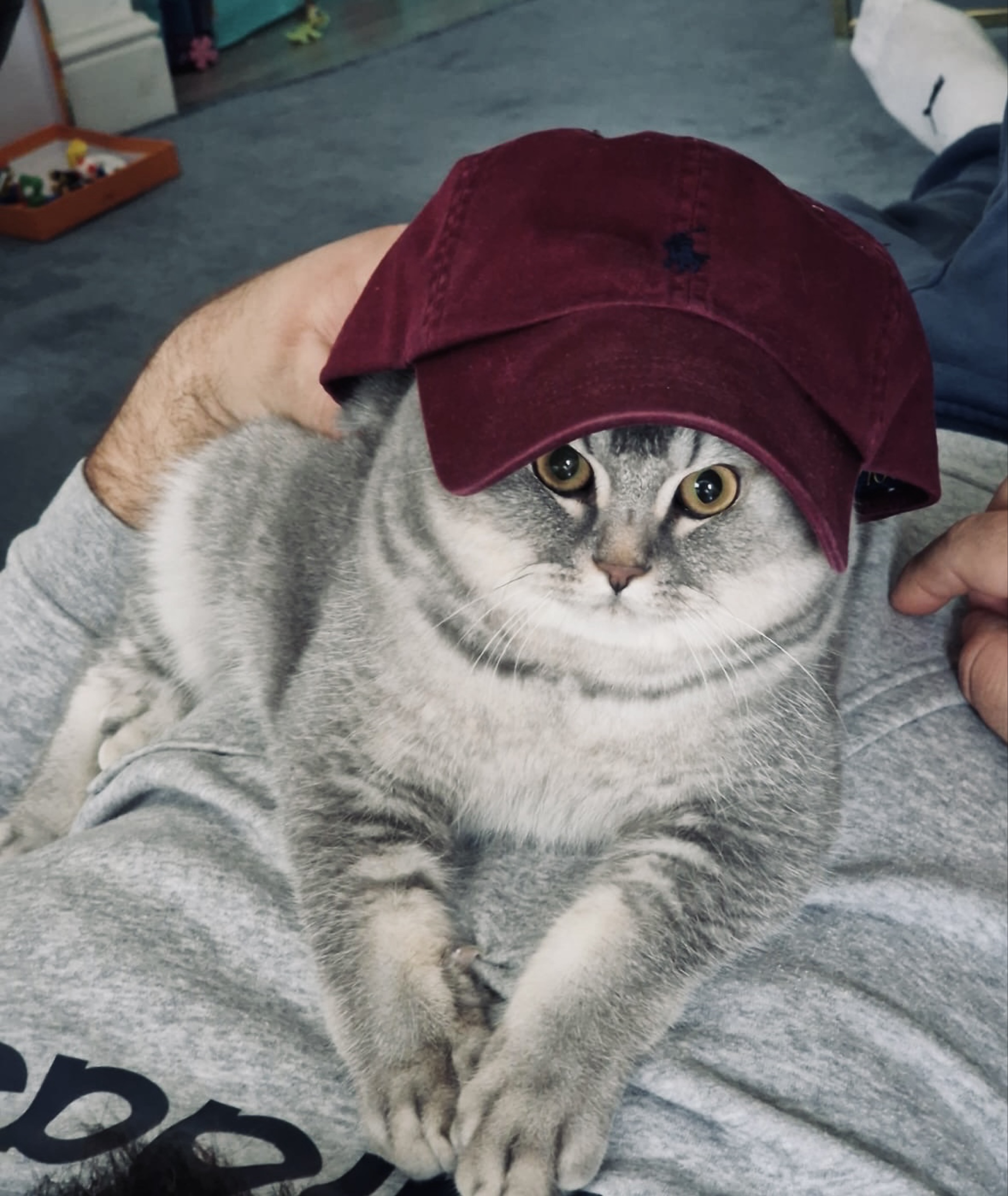 Zogo
