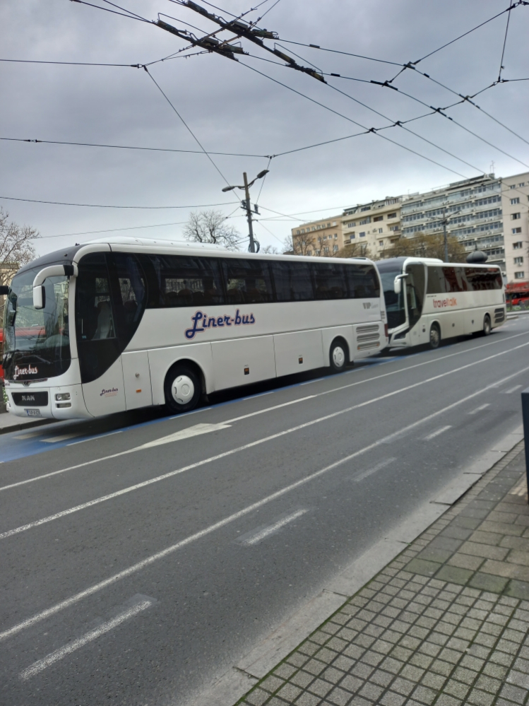 reljabus