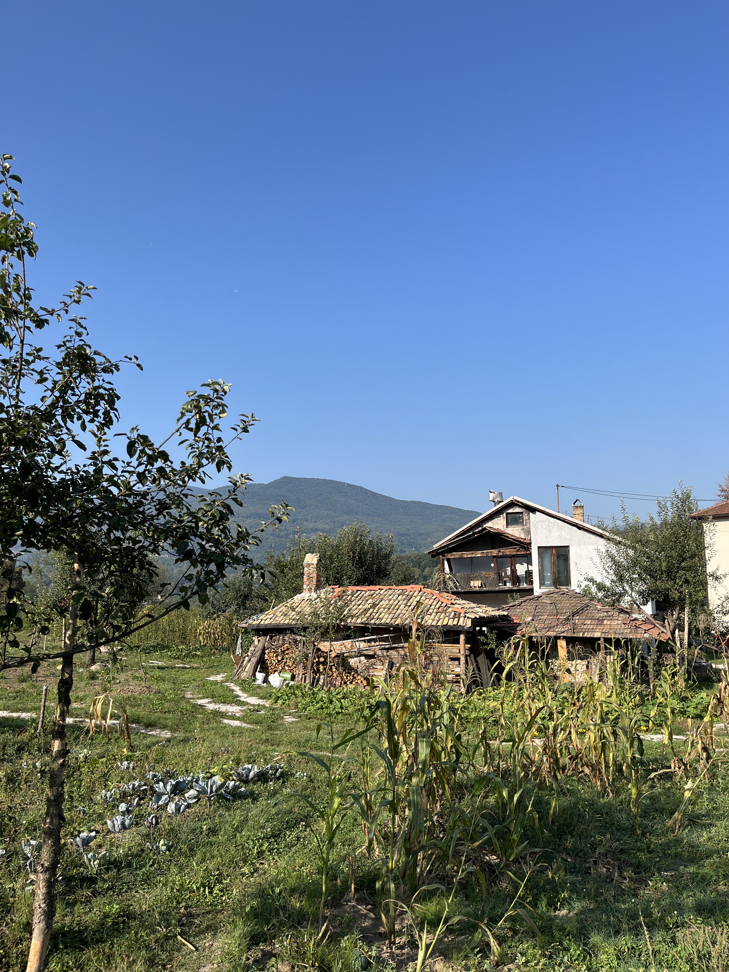 HaxMuha
