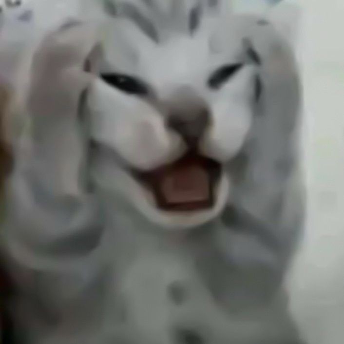 macakmilojkooo