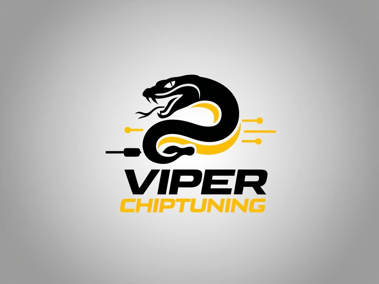 ViperChipTuning