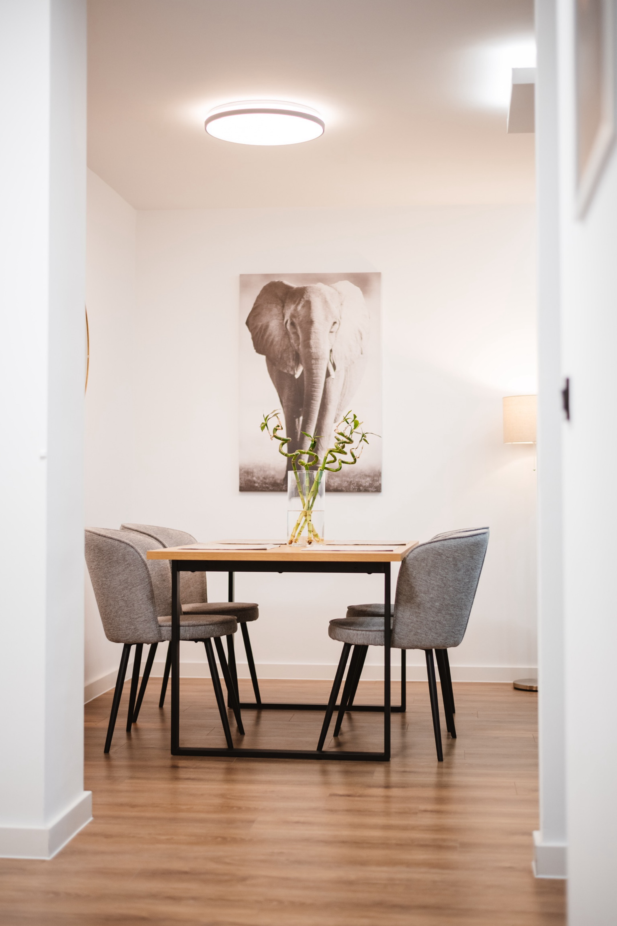 Apartment44