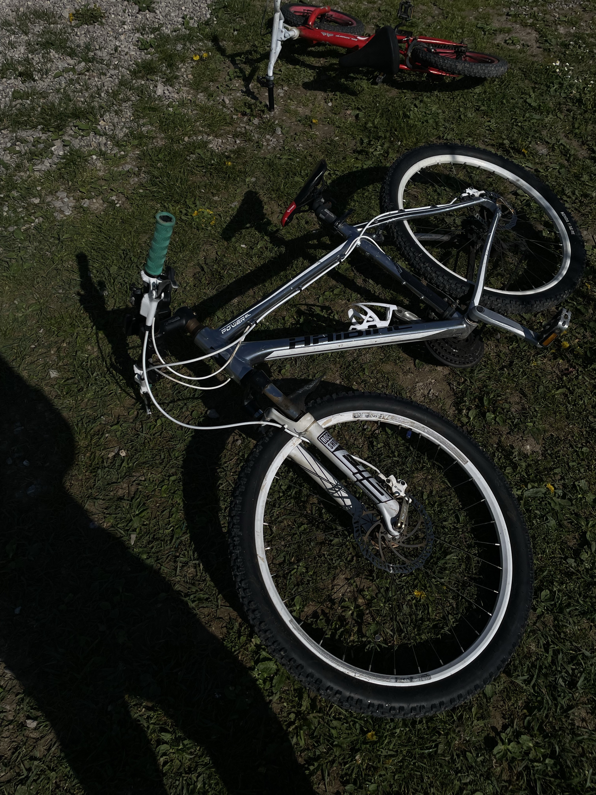 Whyte2011