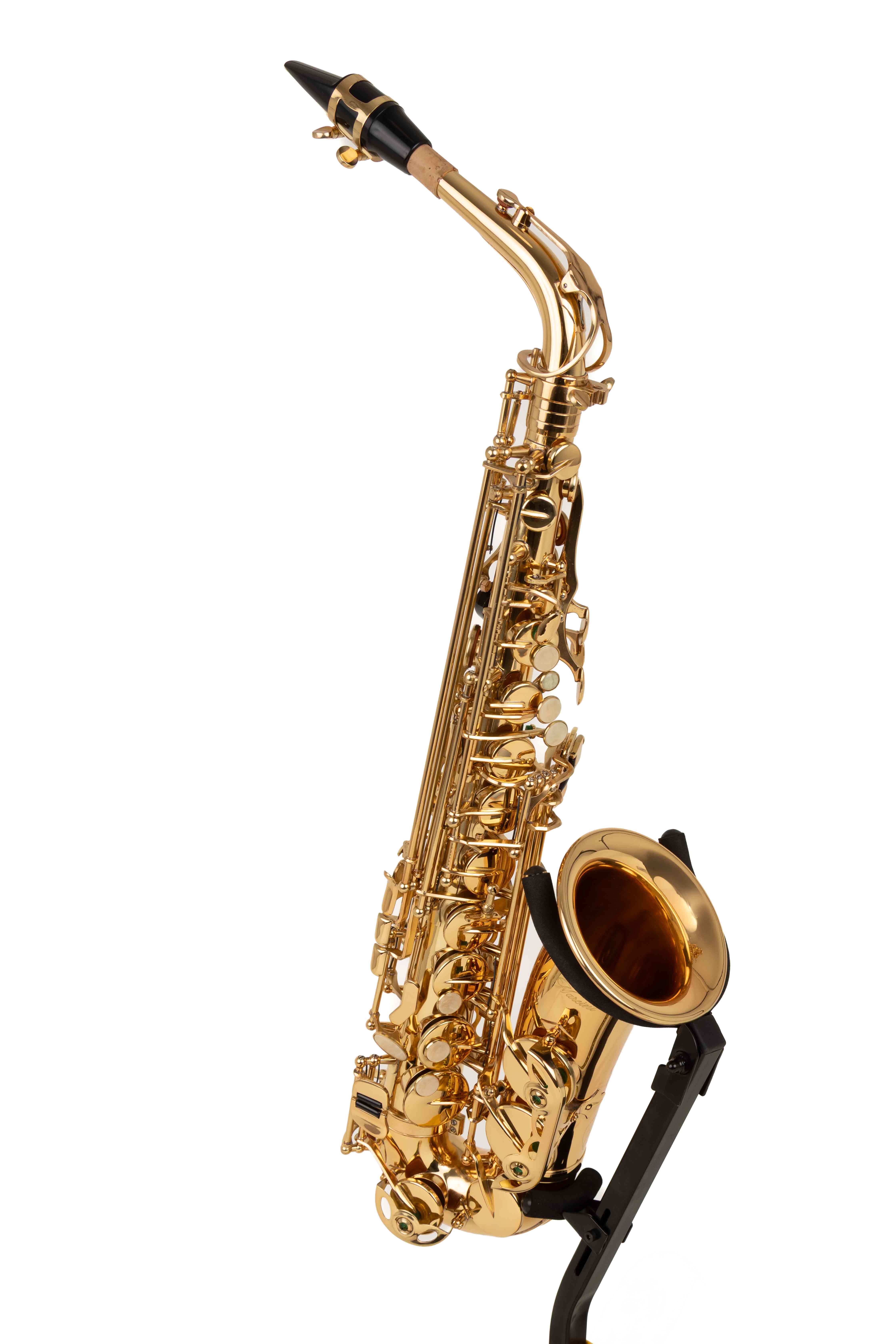 Marcini