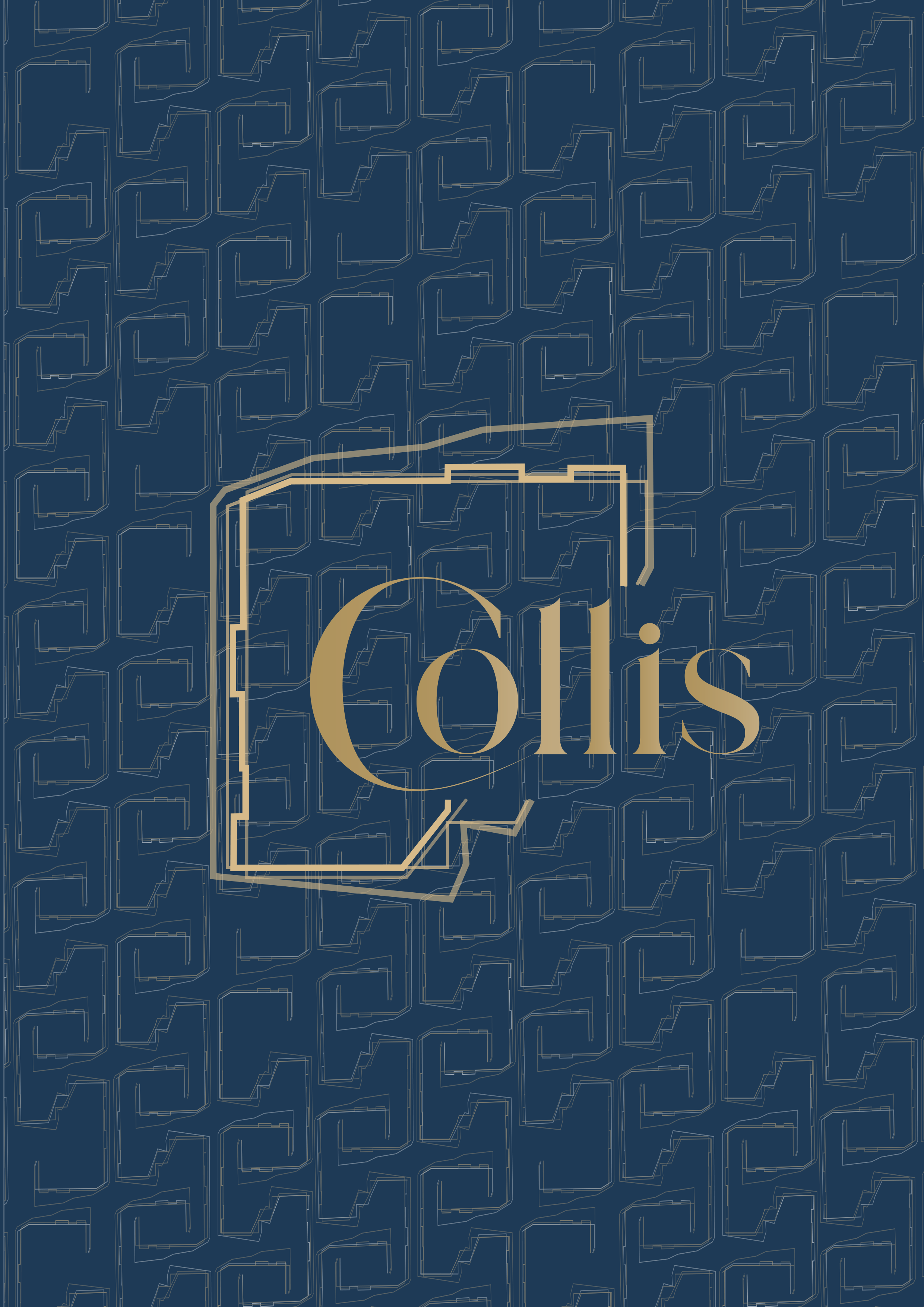 collis_novigrad