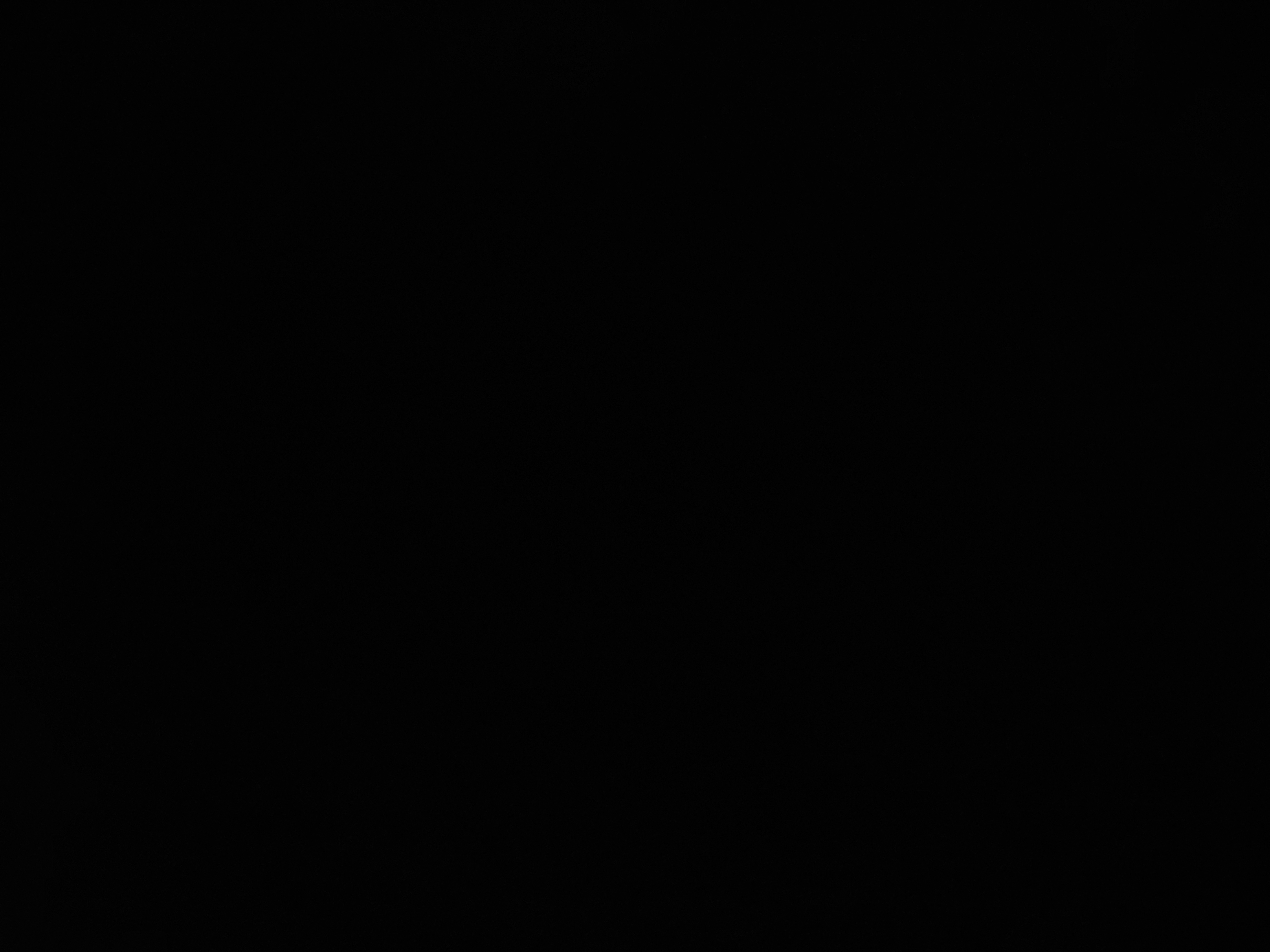 EdisSuvalic37