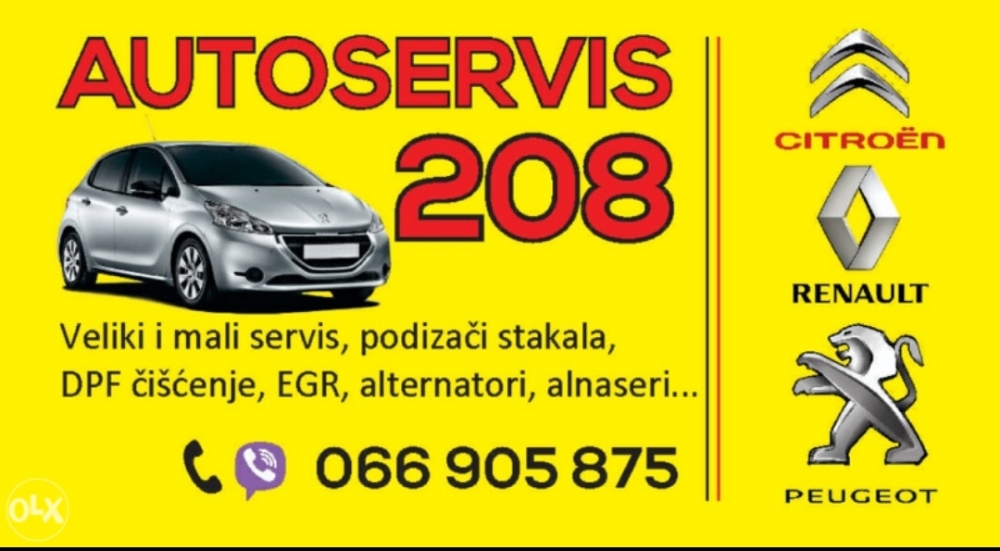 sasha226