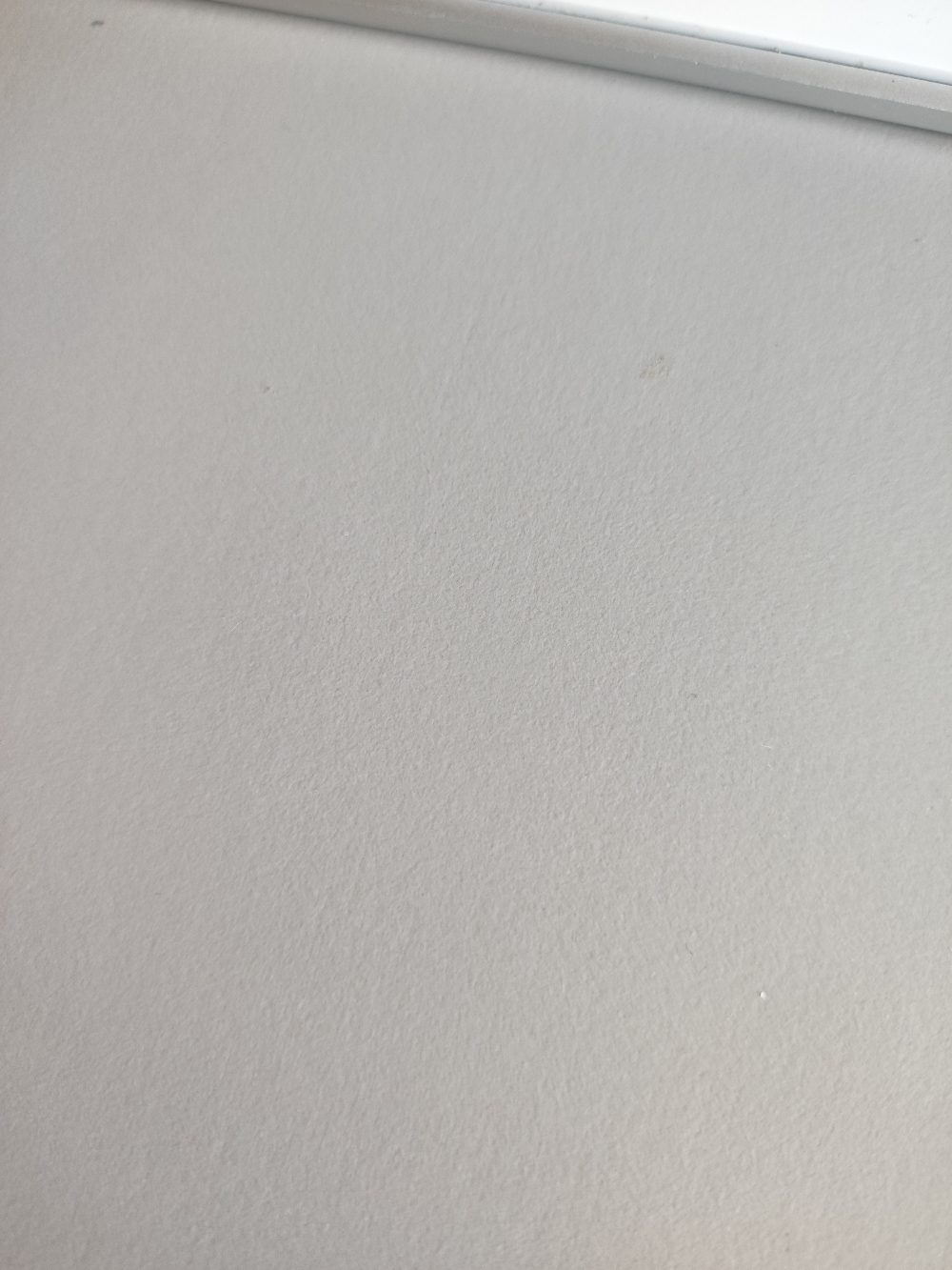 testna