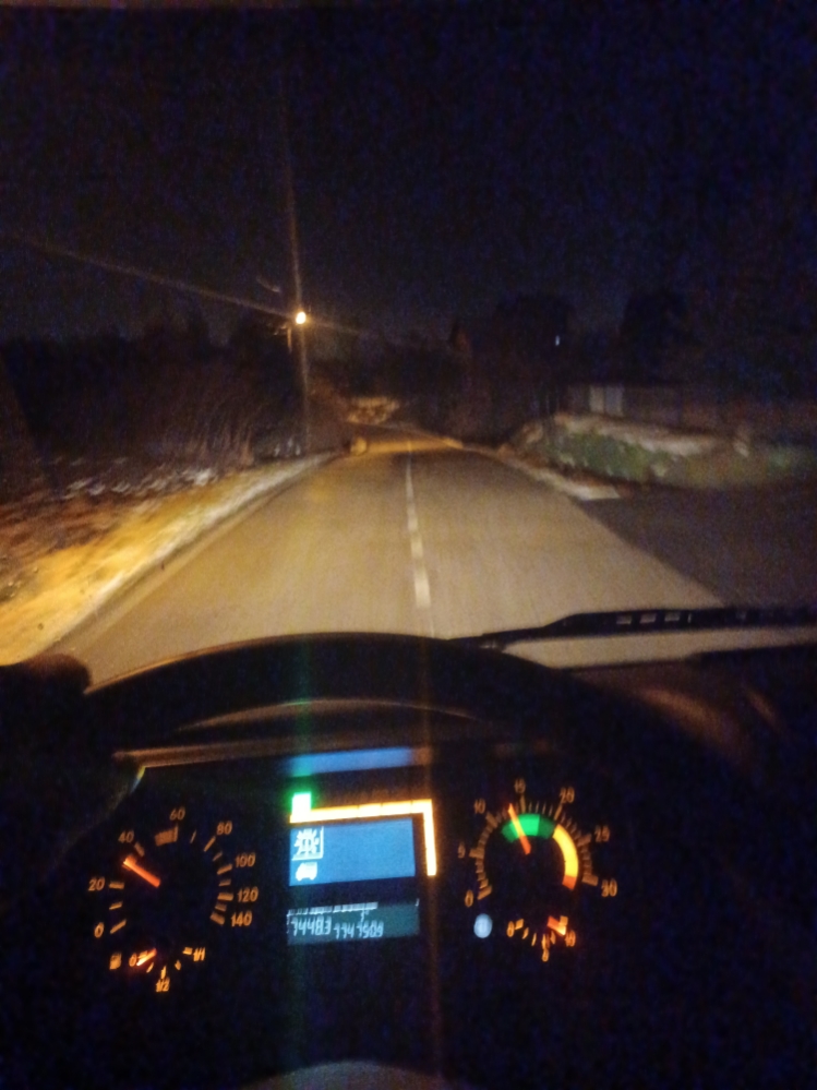Yolo_Amir