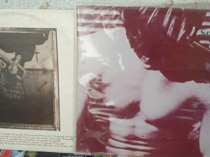 Lp the Smiths, Pixies surfer rosa upit 2km