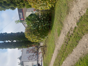 kuca u busovaci photo 3