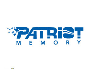 Server Patriot Memory 2GB DDR PC2700 333MHz (Memorija)