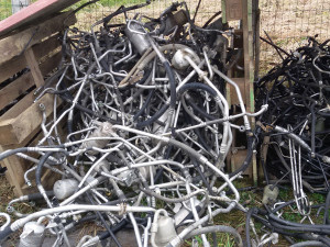 Ford focus cijevi klime