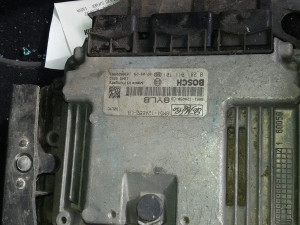 focus elektronika motora