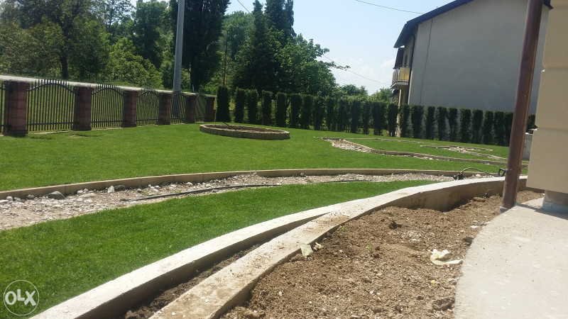 Travni travnati tepih trava busen trava u rolnama trave