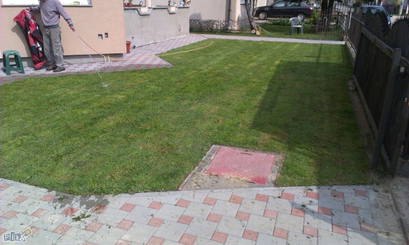 Travni travnati tepih trava busen trava u rolnama trave