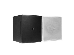 PA zvučnik subwoofer pasivni 10" Audac BASO10