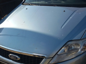 Mondeo hauba