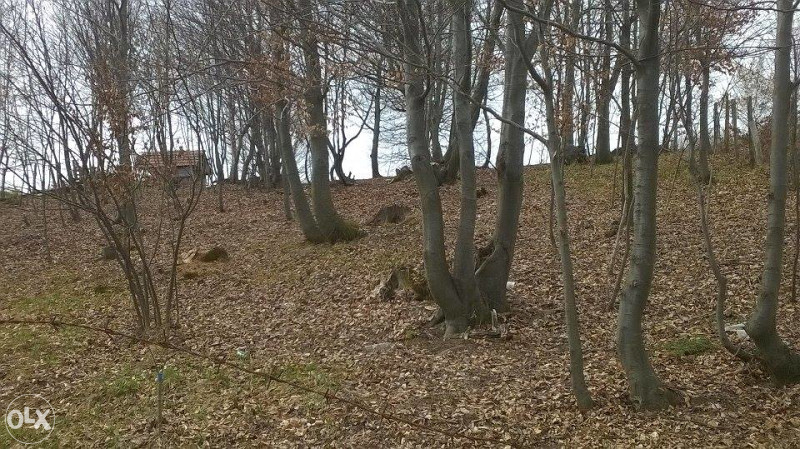 Kuća 8