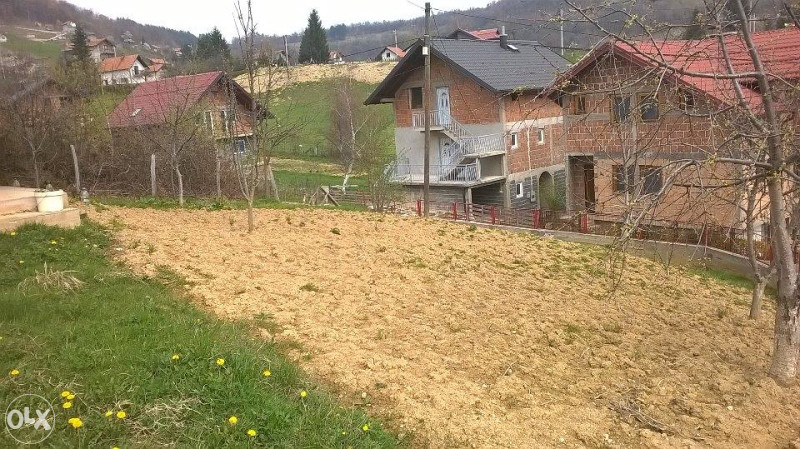 Kuća 7