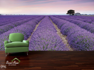 Foto Tapete 3D