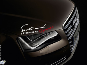 Auto naljepnice stikeri Sport Mind VW AUDI BMW
