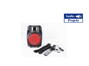 RAZGLAS OZVUČENJE POWER6-PORT-RUSB/SD/BT/TUNER