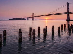 FOTO TAPETE sa slikom po zelji, za firme, djecije sobe