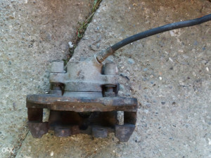 Celjusti kocione Bmw e36