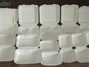 BAGASSE / SUGAR CANE / ŠEĆERNA TRSKA BOX EKO