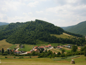 Zemlja i šuma