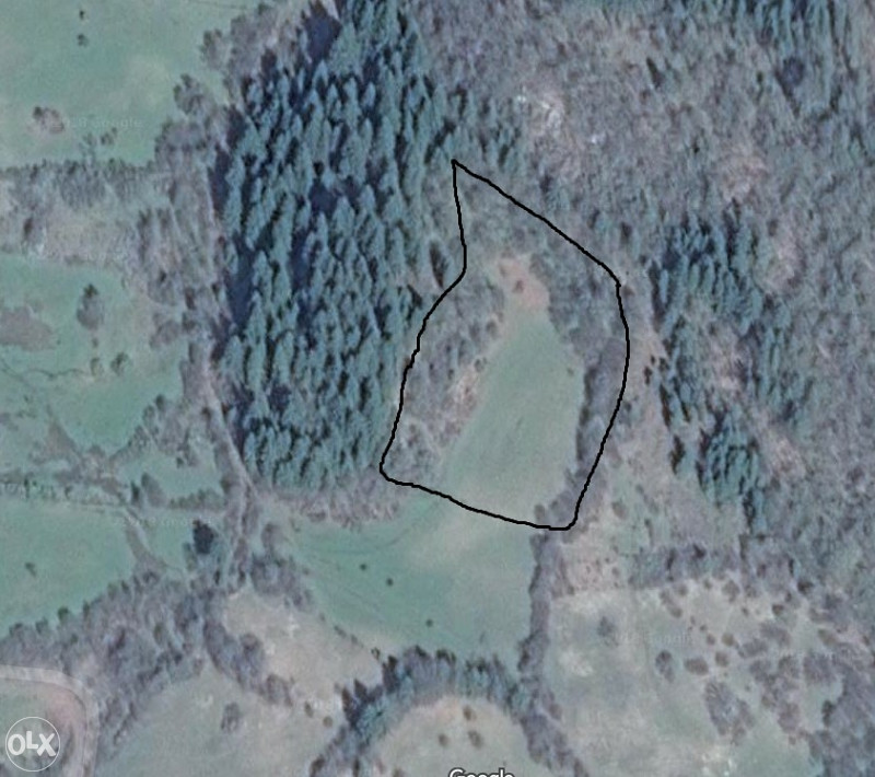 Prodaja zemlje i šume, Olovo 061 901 235 16