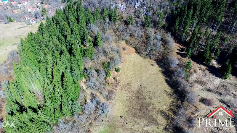 Prodaja zemlje i šume, Olovo 061 901 235 13