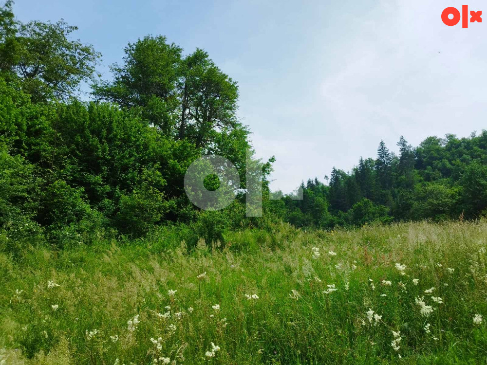 Prodaja zemlje i šume, Olovo 061 901 235 2