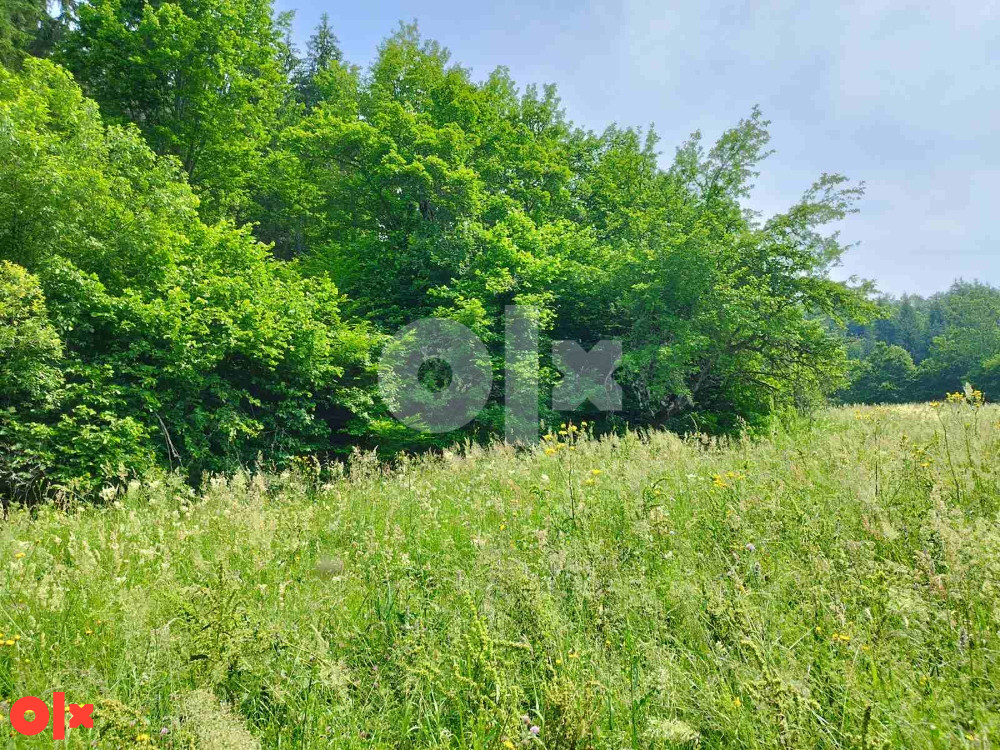 Prodaja zemlje i šume, Olovo 061 901 235 3