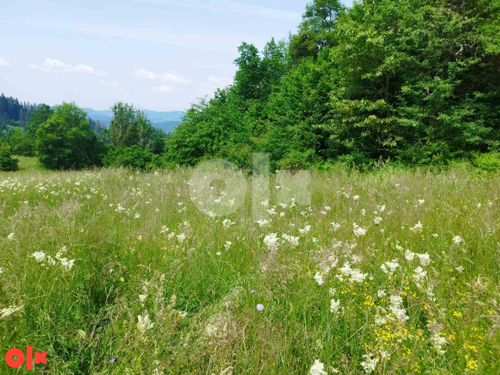 Prodaja zemlje i šume, Olovo 061 901 235 6