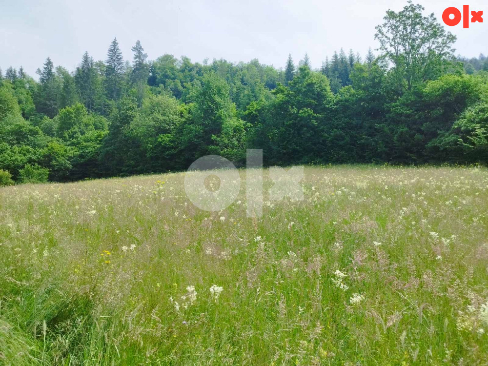 Prodaja zemlje i šume, Olovo 061 901 235 7