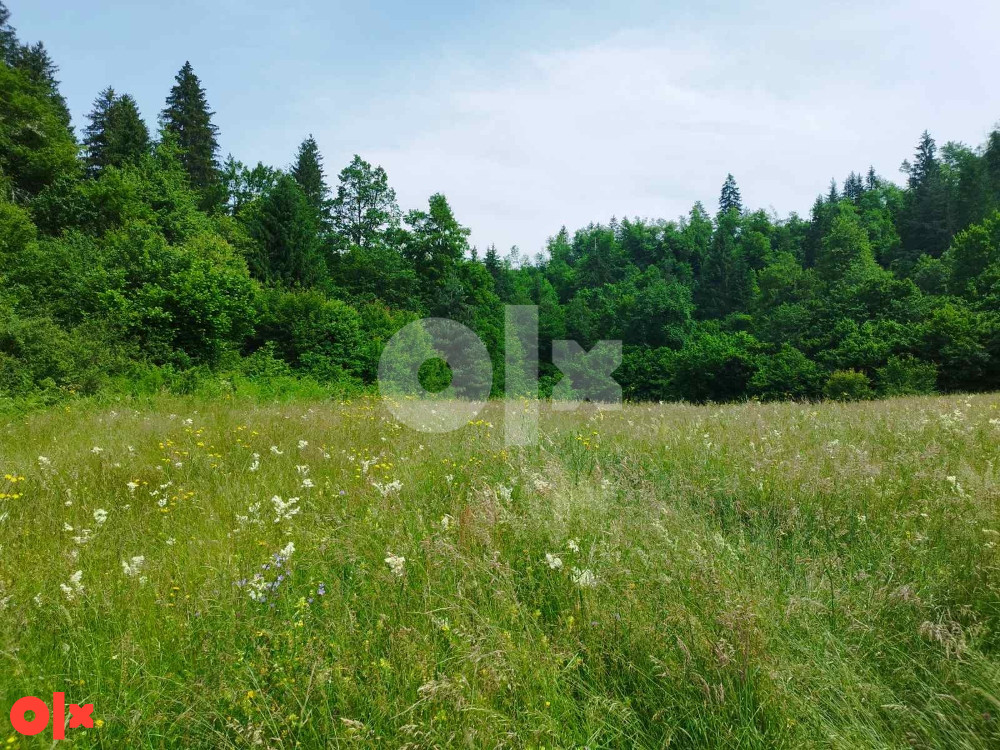 Prodaja zemlje i šume, Olovo 061 901 235 8