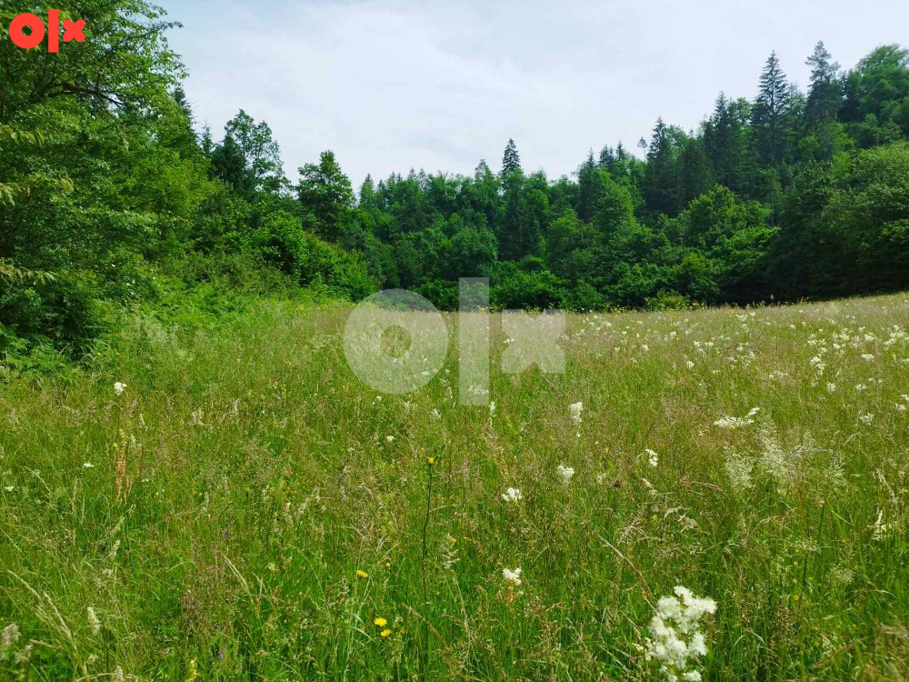 Prodaja zemlje i šume, Olovo 061 901 235 11