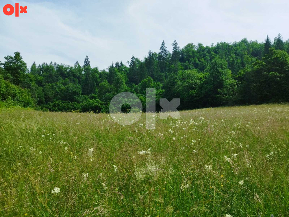 Prodaja zemlje i šume, Olovo 061 901 235 9