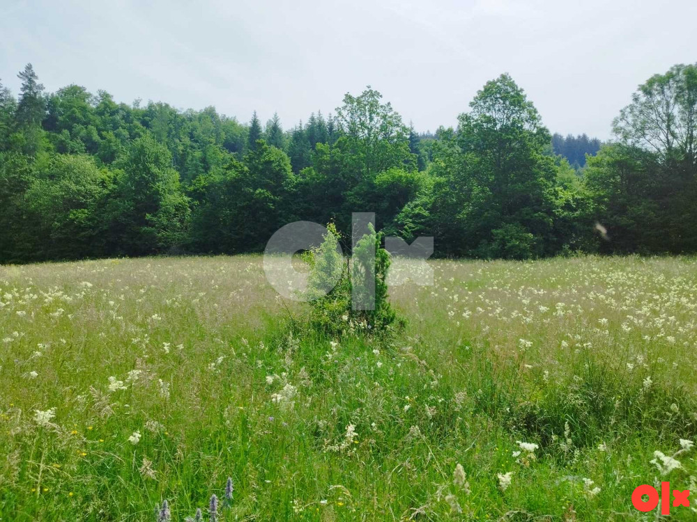 Prodaja zemlje i šume, Olovo 061 901 235 10