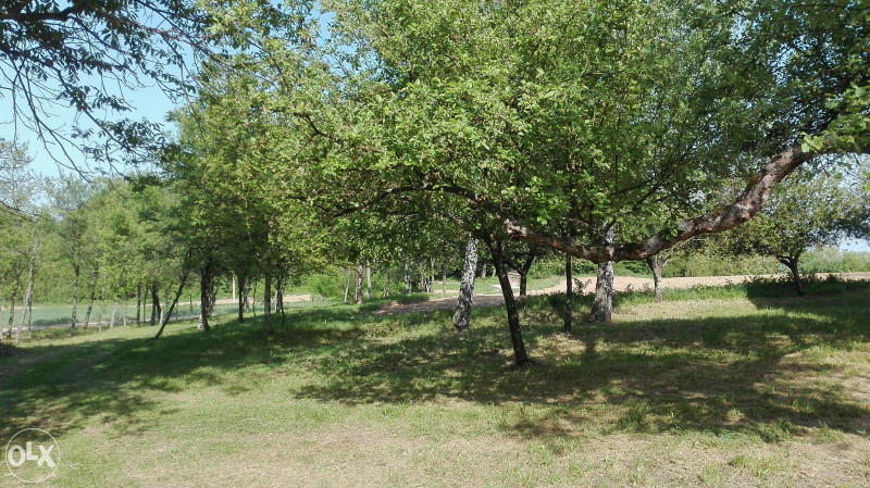 Zemljište kod Prnjavora (RS) u Lisnji
