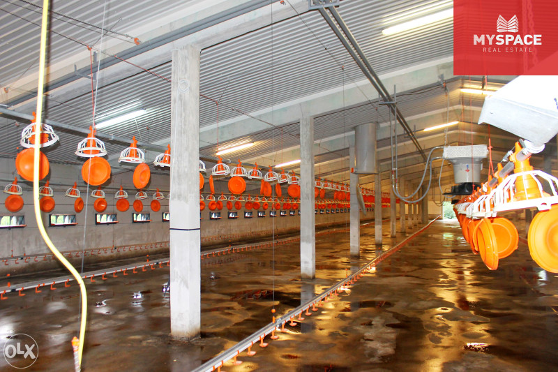MY SPACE/ Zemljiste i farma/ Visoko/ 5100 m2 16